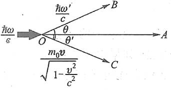 南通大学《803量子力学》考研真题及复习笔记——才聪学习网