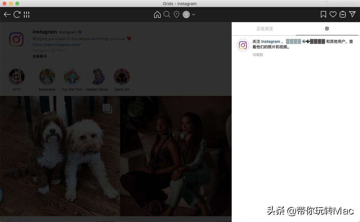Instagram客户端工具