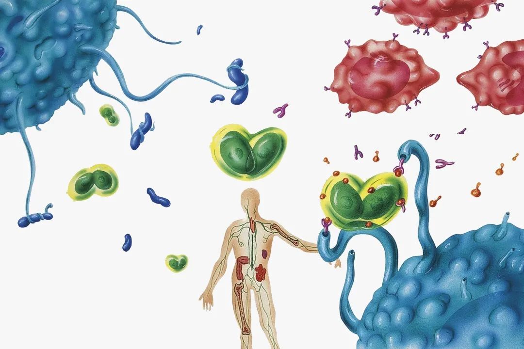 “抗衰老”等于“抗糖”？糖化反应到底是什么