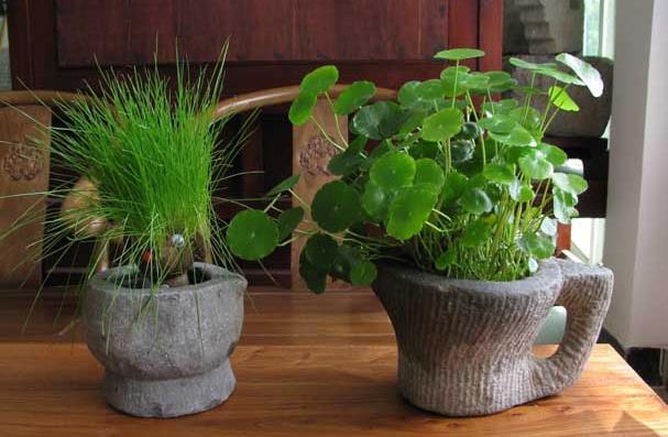 人生实苦，自渡是福