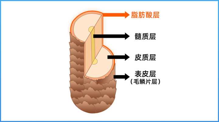 柔顺洗发水（真人实测17款洗发水大合集）