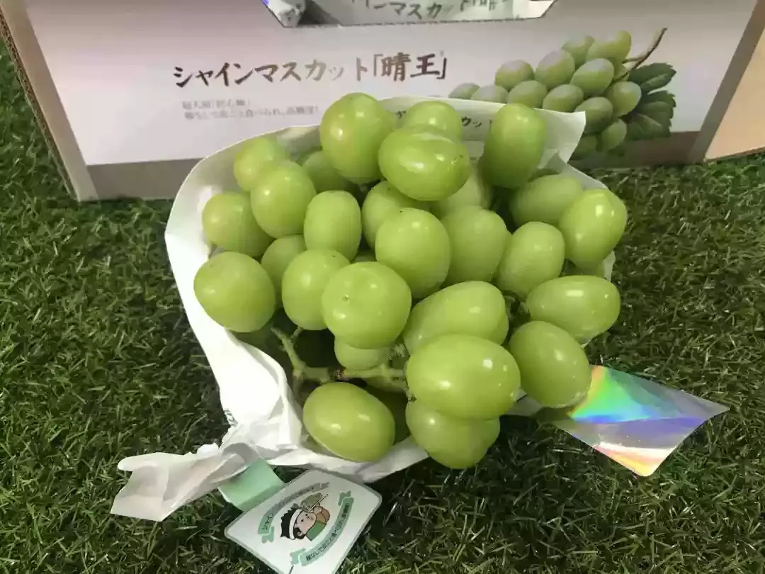 从120元/斤到4元/斤,阳光玫瑰葡萄是怎样一步步走下神坛?