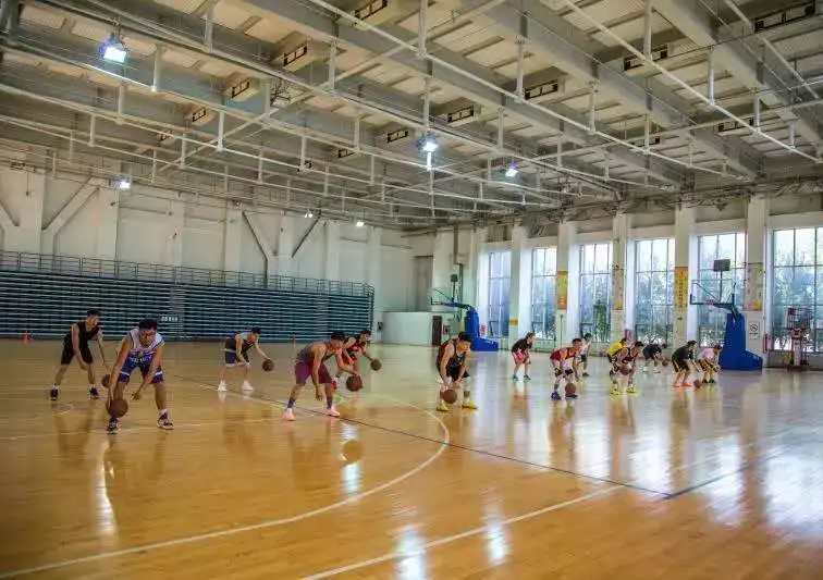 专业解读|体育教育、运动康复、运动训练、武术与民族传统体育