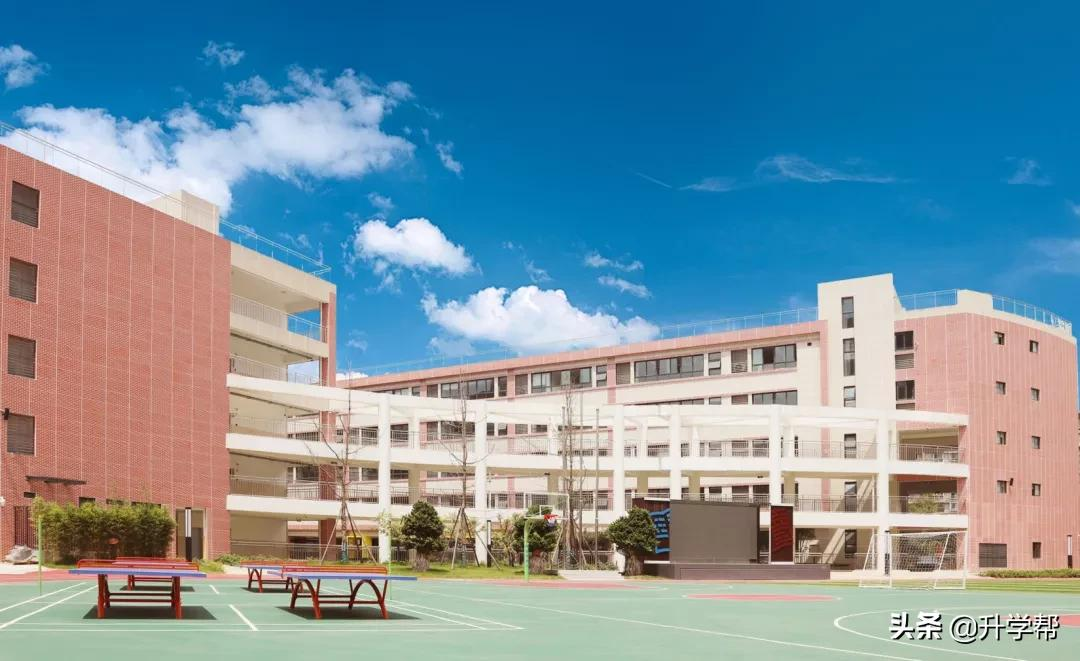 成都，疯狂建学校！城南大有看头