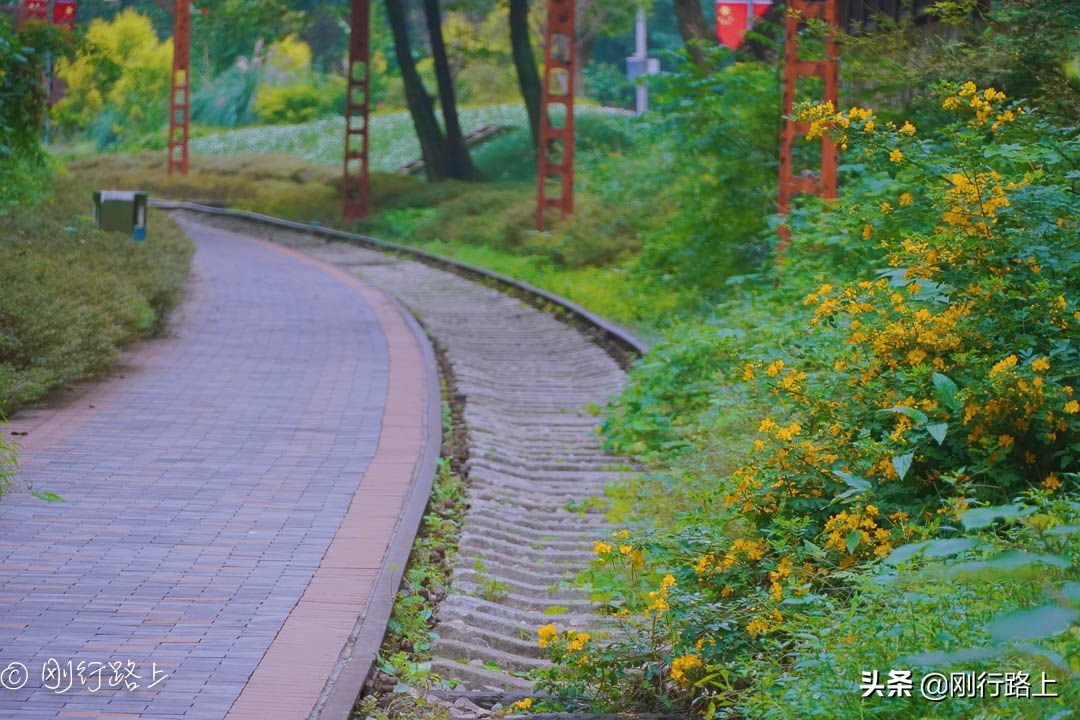 川外小铁路，一眼就心动如日漫里的场景