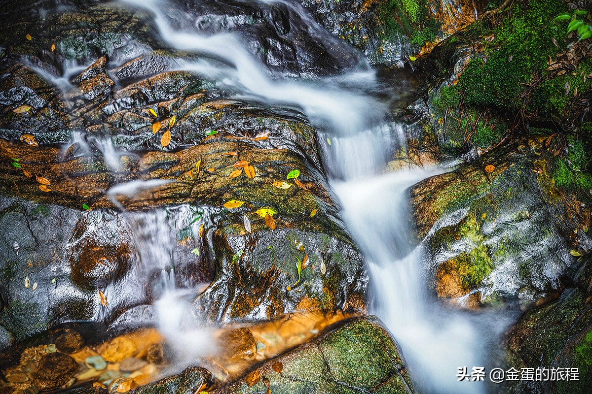 千岛湖在哪里个城市（中国最大的人工湖5A级风景区）
