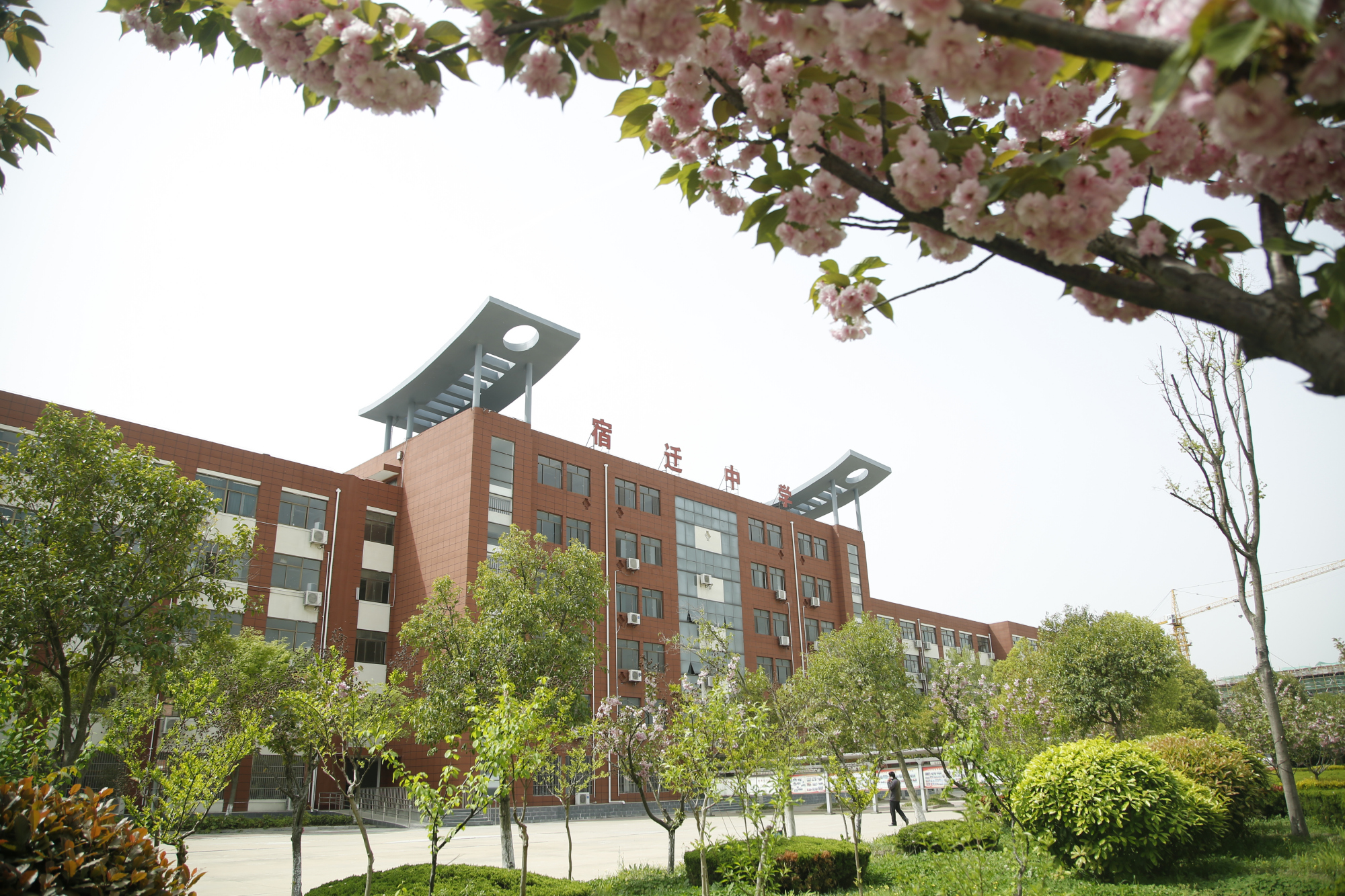 江苏宿迁2020高考，宿迁中学获省文科状元，高分人数全市遥遥领先