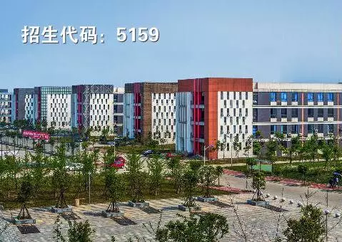 四川单招“文化艺术”大类相关专业及院校推荐