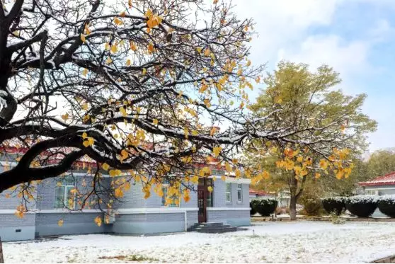 多少分，可以上兰州大学？