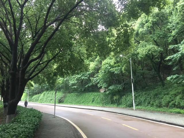 武昌理工学院究竟有多美？一组图告诉你什么才是湖景校园