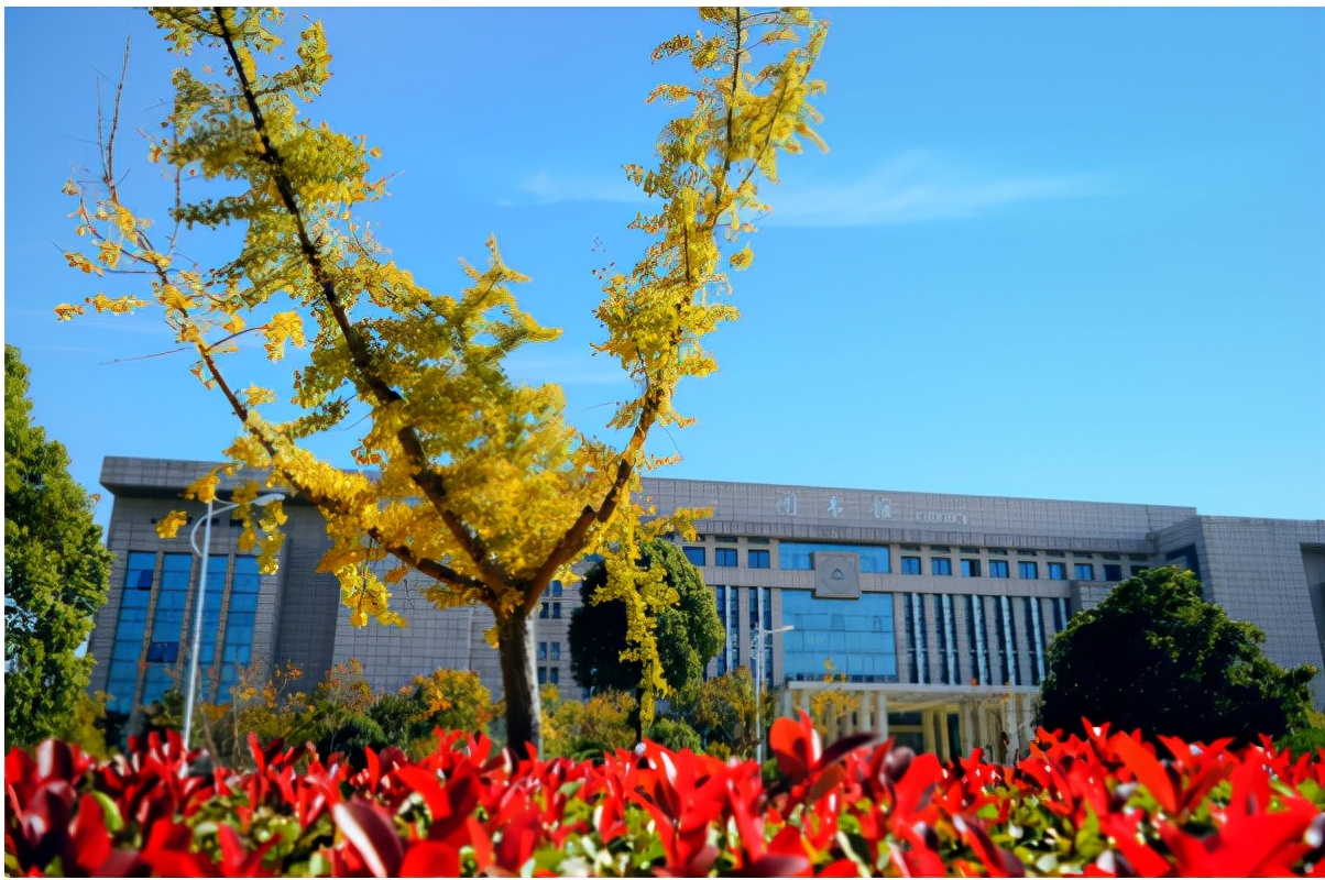 这所竞争力强学费低的民办高校，2021年艺术类专业录取数据分析