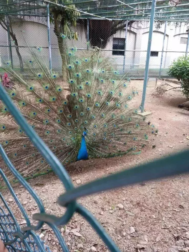 高考全省前50学霸：广州21席，深圳15席，珠海一中全省第一