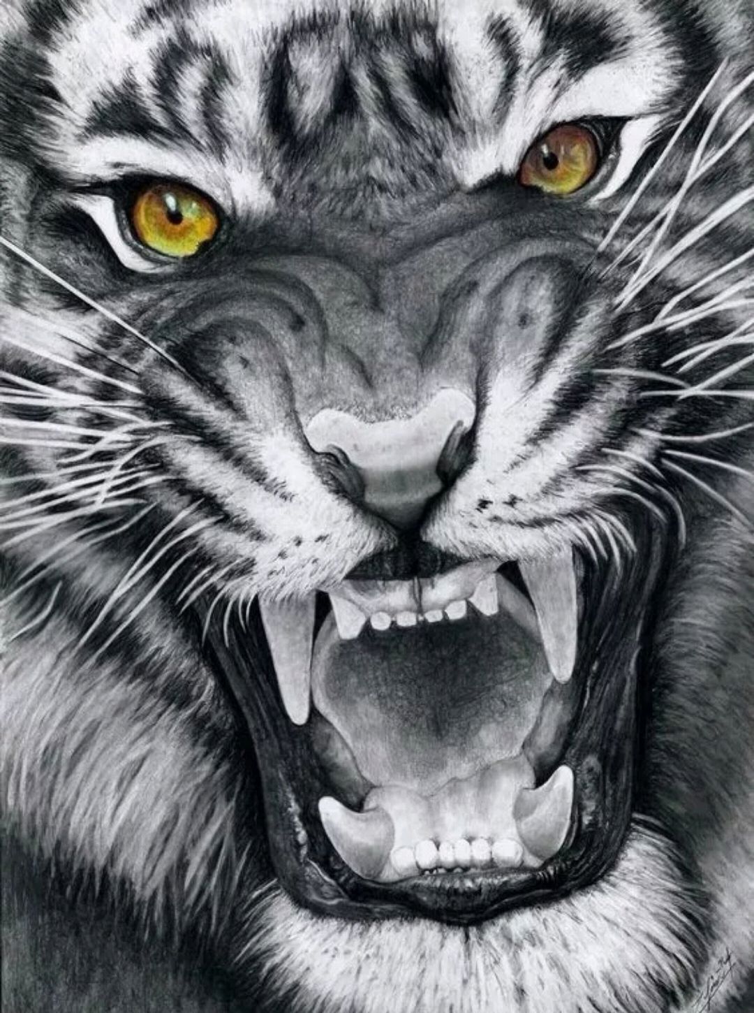 我们上一次说了和虎有关的民俗文化和传说,好介绍了上山虎喝下山虎.