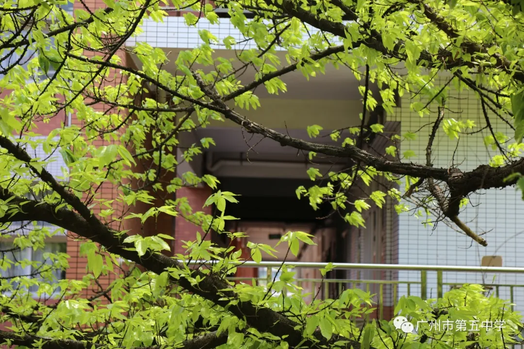 广州市第五中学2020年高中招生简章