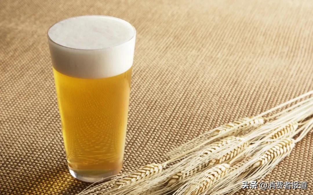 12款啤酒测试：、珠江等用料较“杂”；嘉士伯、青岛泡沫持久性垫底