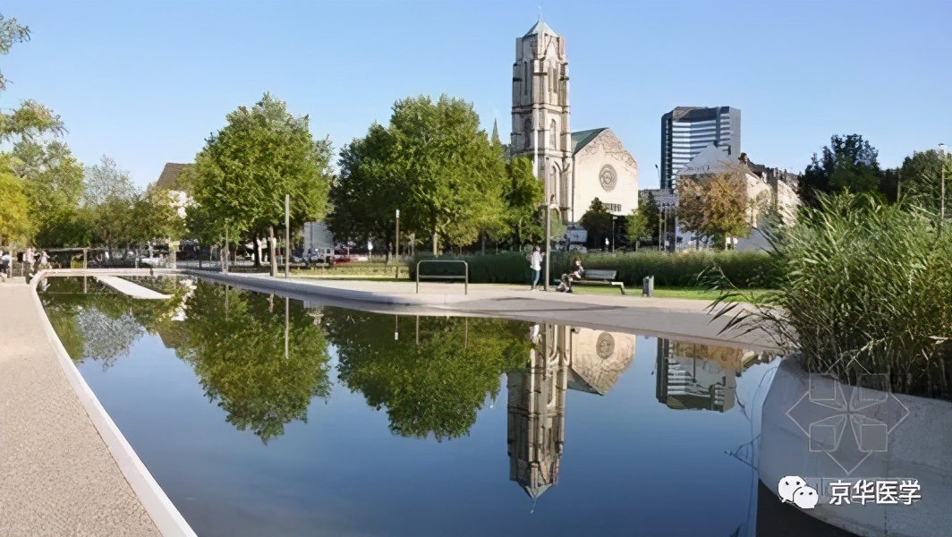 功夫不负有心人，终圆梦德国著名大学