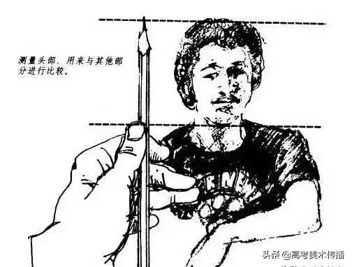 初级入门 I 零基础素描绘画教程