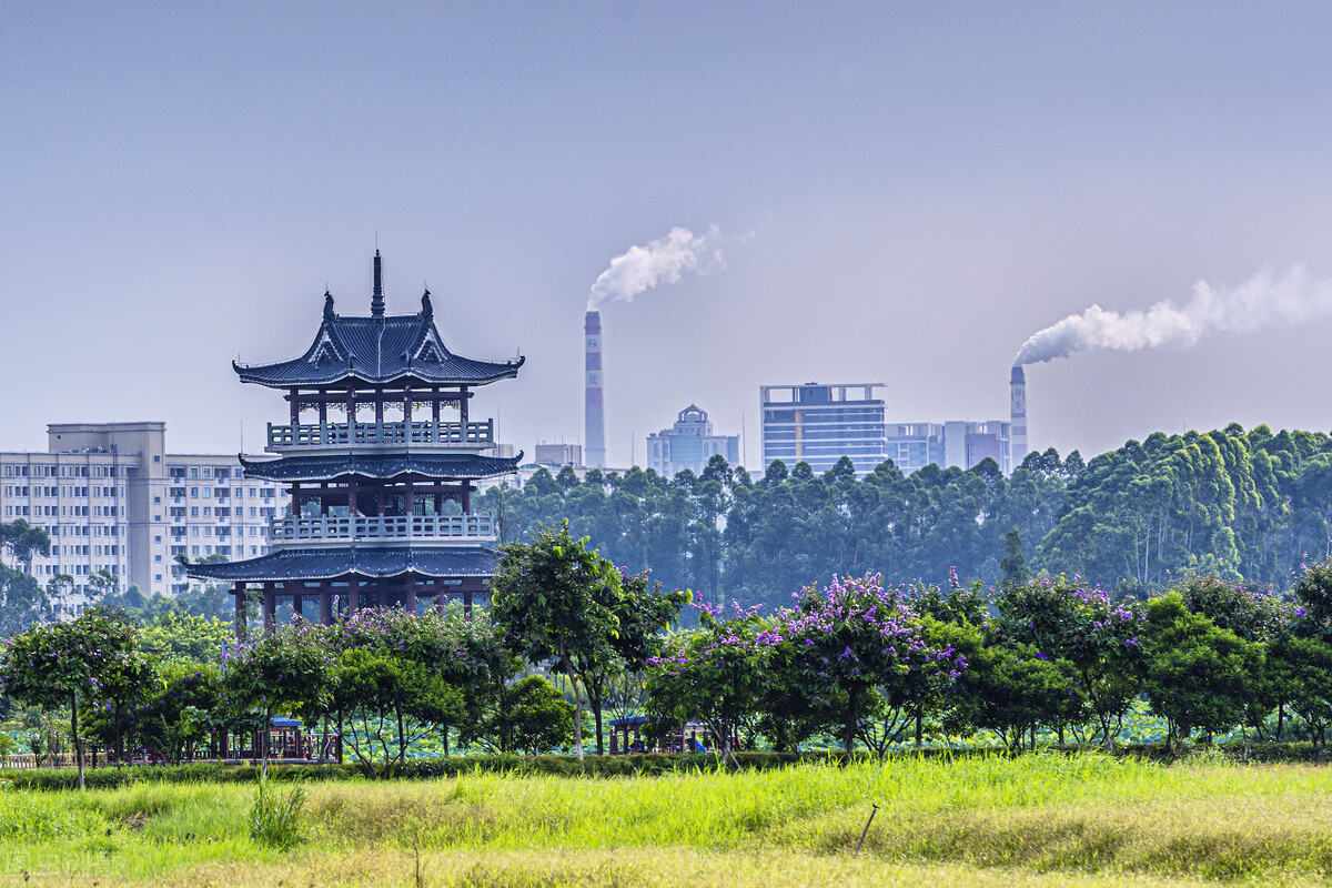 这四所大学位于新一线大城市，未来可选择留在当地，工资待遇高