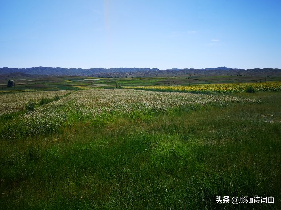 花在草原诗在心：金秋内蒙之旅古典诗词曲拾零悠情