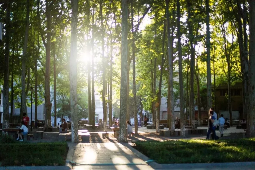 山东“超大”高校：占地8000余亩，坐拥8大校区、30个食堂，京沪高铁直通！