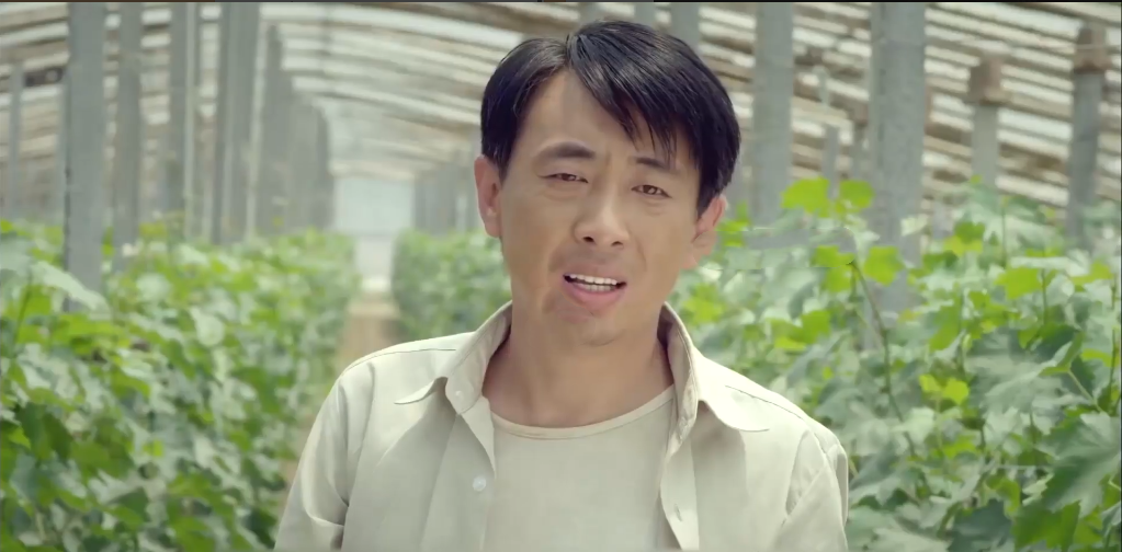 车马炮电影剧情「详细介绍」_晶羽科技