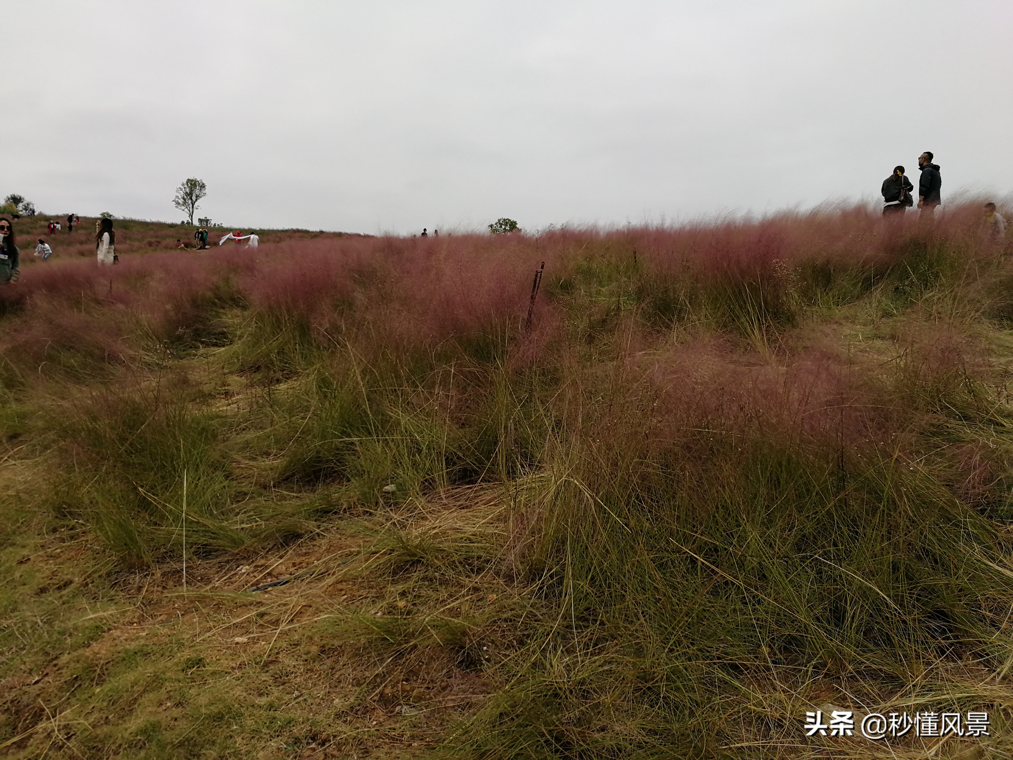 武汉周边带孩子旅游景点推荐(盱眙周边旅游景点适合孩子玩的)