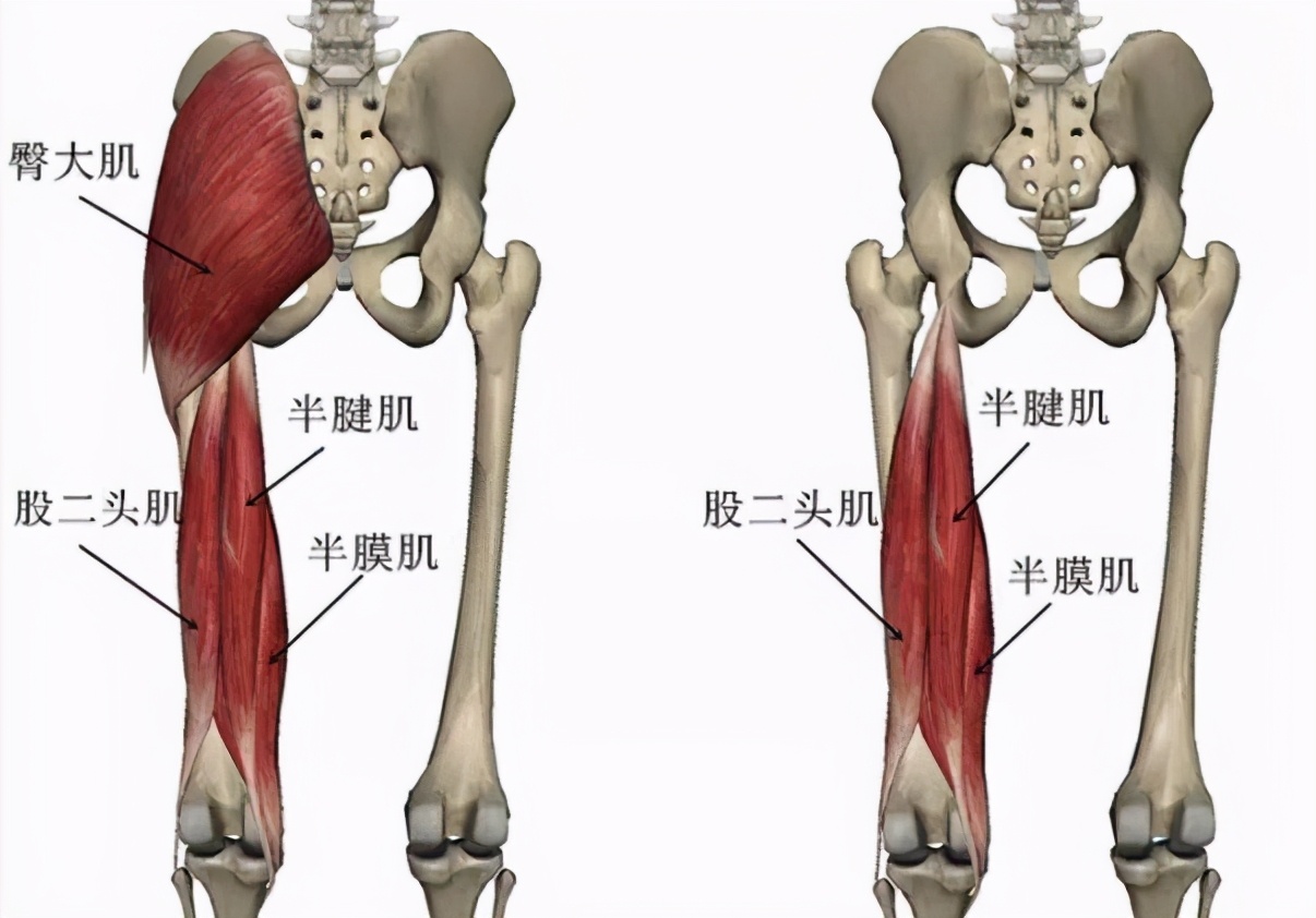 膝盖内侧的疼痛怎么选穴？医生：虽然病因很多，但是都可选曲泉