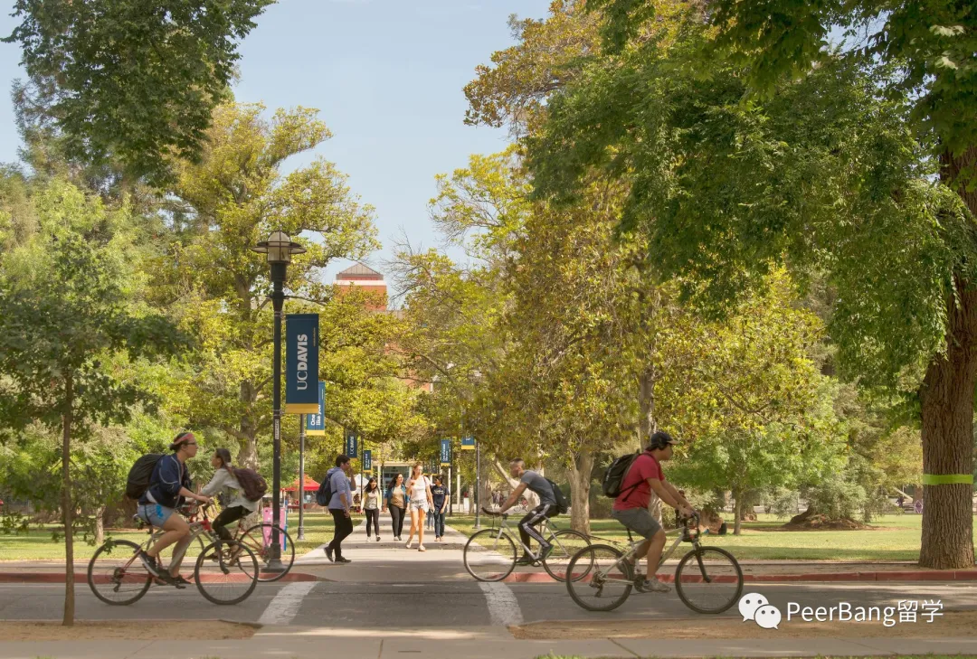 美国前40里，录取率最友好的UC大学是哪所？