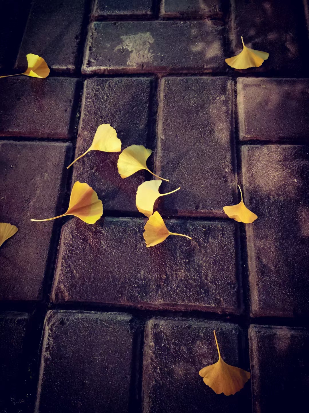 写作碎碎念——独立思考是写作的基础