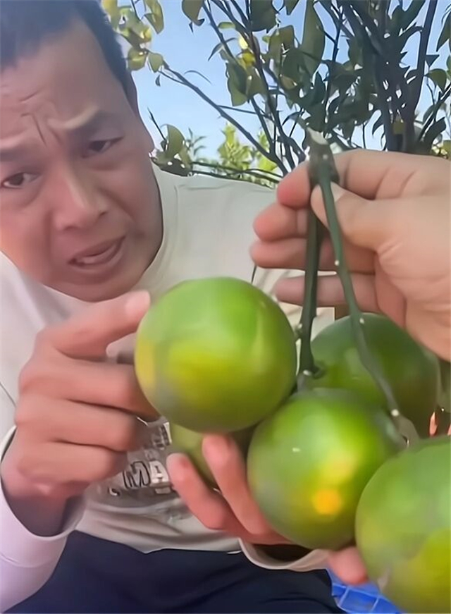 全红婵父亲做生意大方！送奥迪车主一串青皮橙，顾客感动连忙道谢