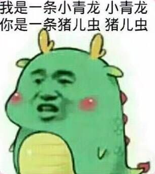 你是一条猪儿虫 猪儿虫