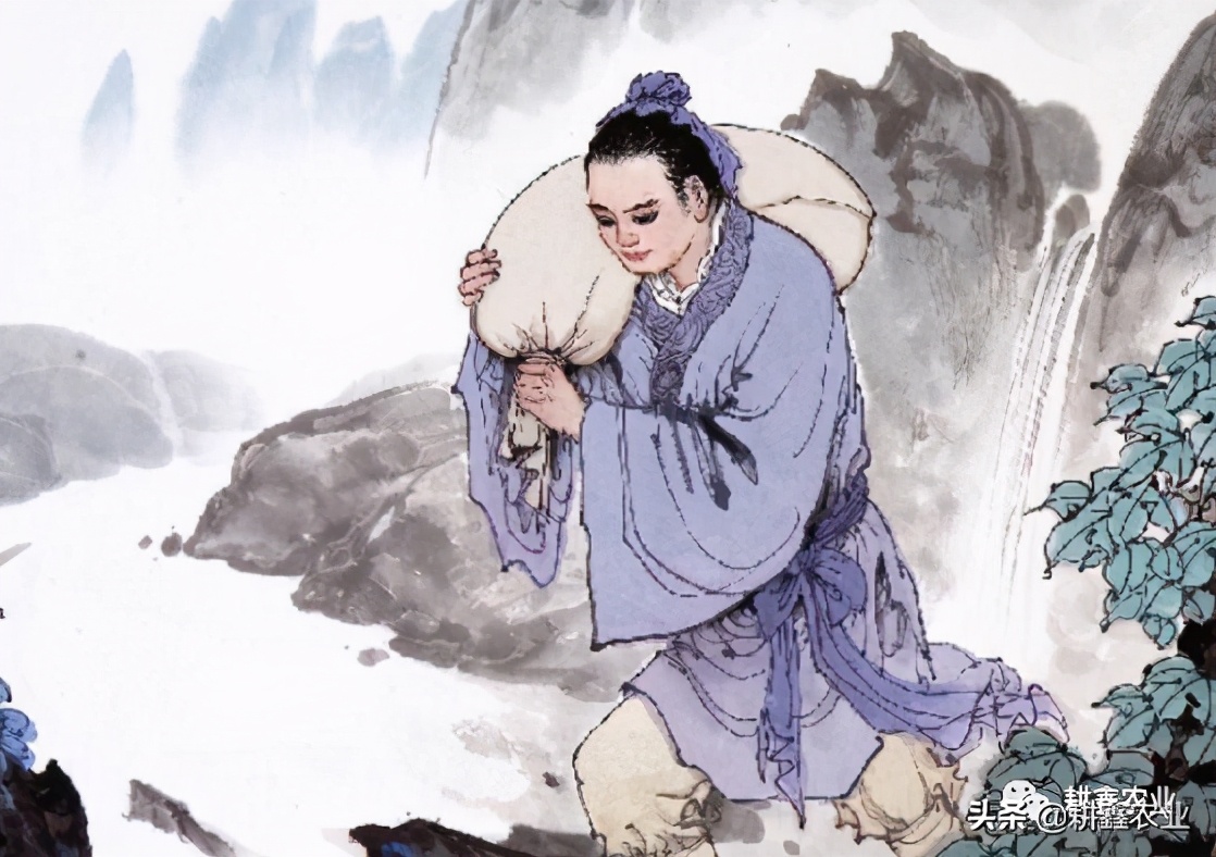 二十四孝故事之百里负米,子路百里负米侍奉双亲