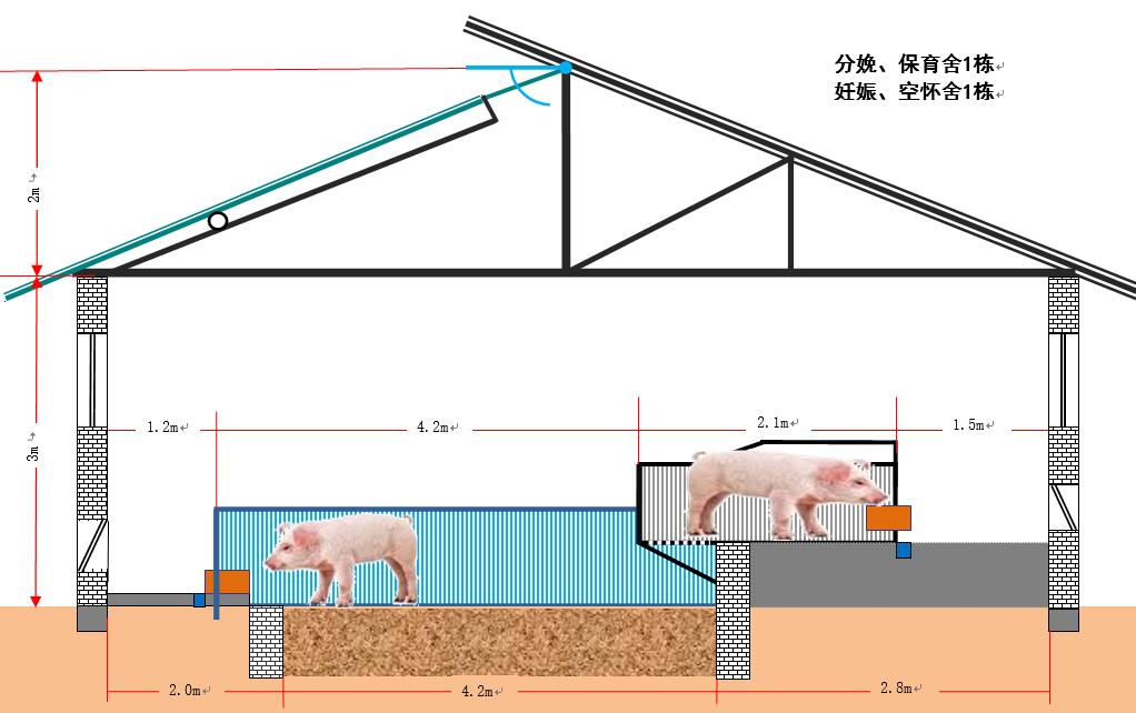 小型猪舍排粪沟的设计图片