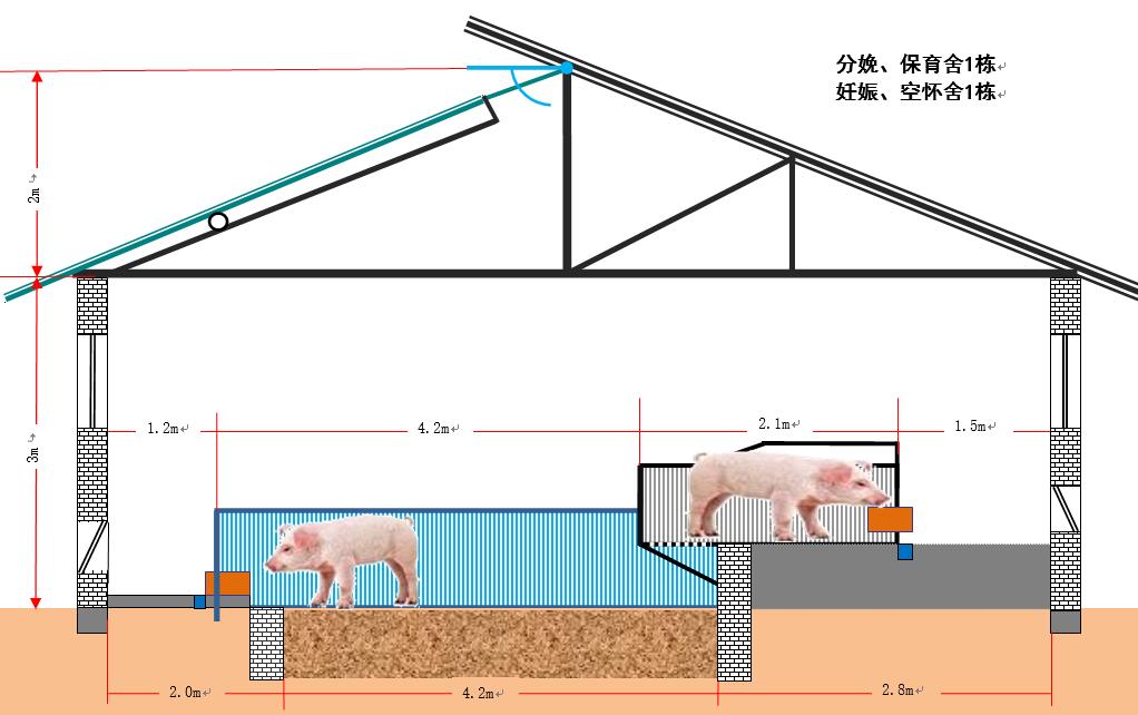 存栏100头母猪的繁育猪场，需配置6种不同标准的猪舍，缺一不可
