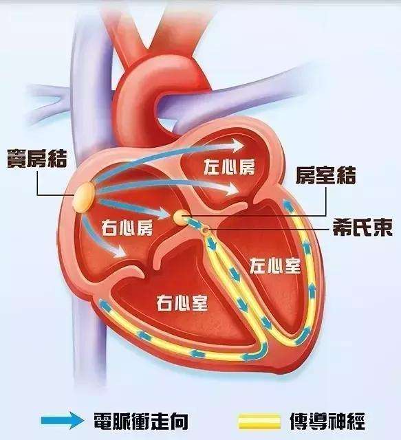 窦性心律不齐的改善方法与治疗建议