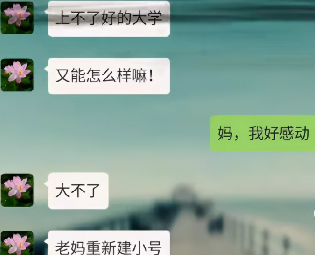 高考落幕，考生晒和父母的聊天记录，网友看了笑出声：是亲生的吗