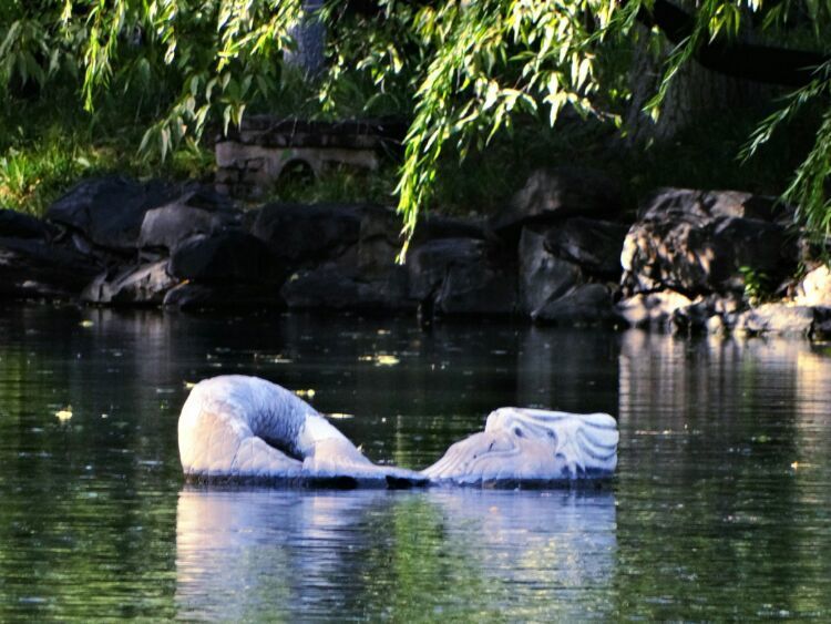 北大印象，漫步北大校园