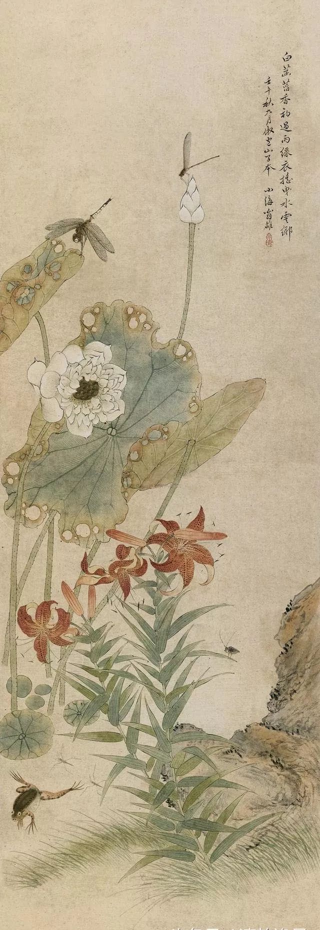 花鸟虫鱼网(花鸟虫鱼网-)