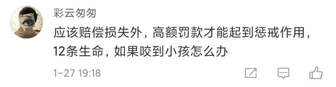 痛心！大理大学12只网红黑天鹅被烈犬咬死！包括6只丑小鸭！狗主人赔4万元