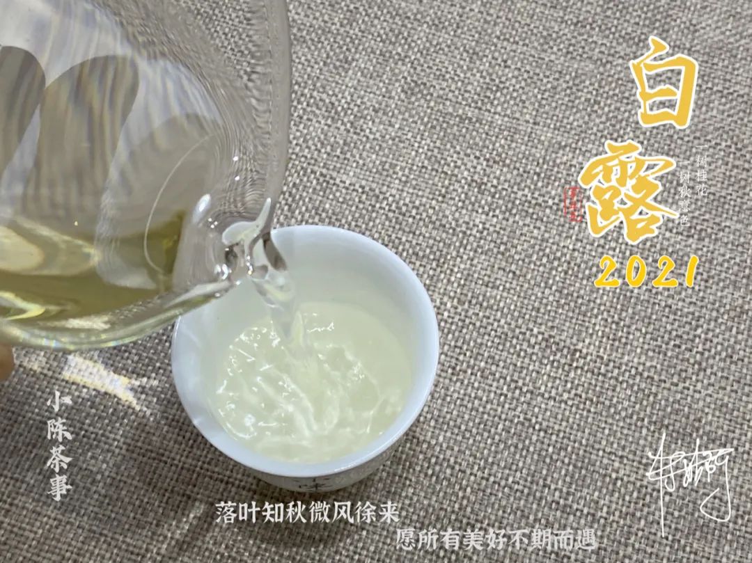 白茶、红茶、岩茶，什么样的茶叶不必洗茶？什么样的必须洗？