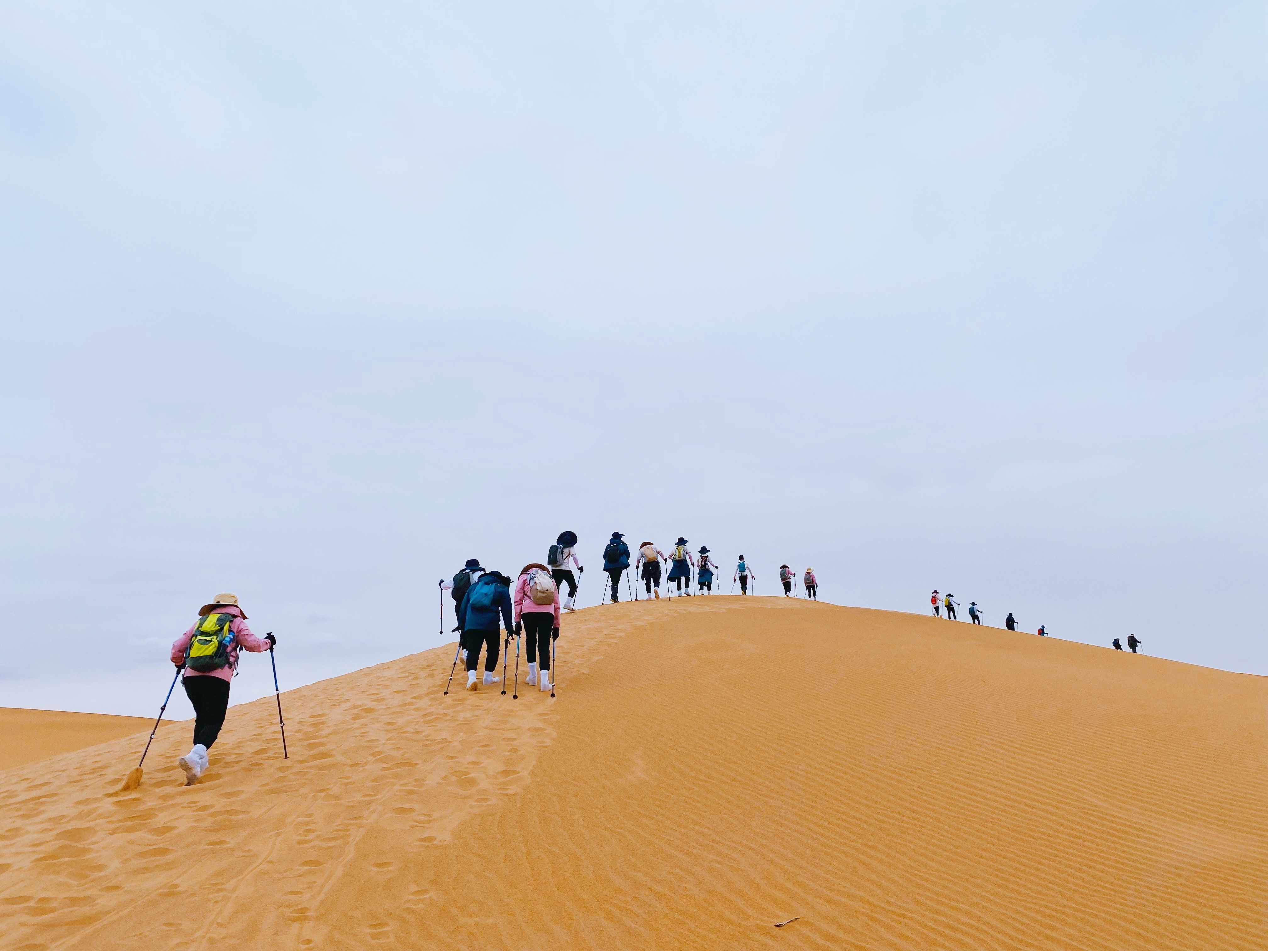 笃行沙漠，赋能未来 | 乐豆家高管团队熔炼之旅圆满结束