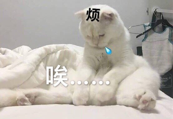 猫咪表情包25张｜我这一巴掌下棋你可能会死