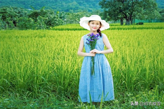 曹雪芹的理想国：一畦春韭绿，十里稻花香