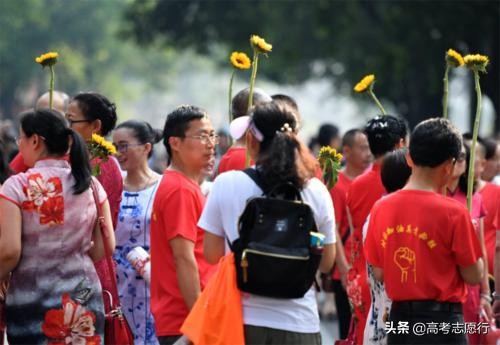 高考多少分才有机会读一本大学？比去年高还是低，很期待