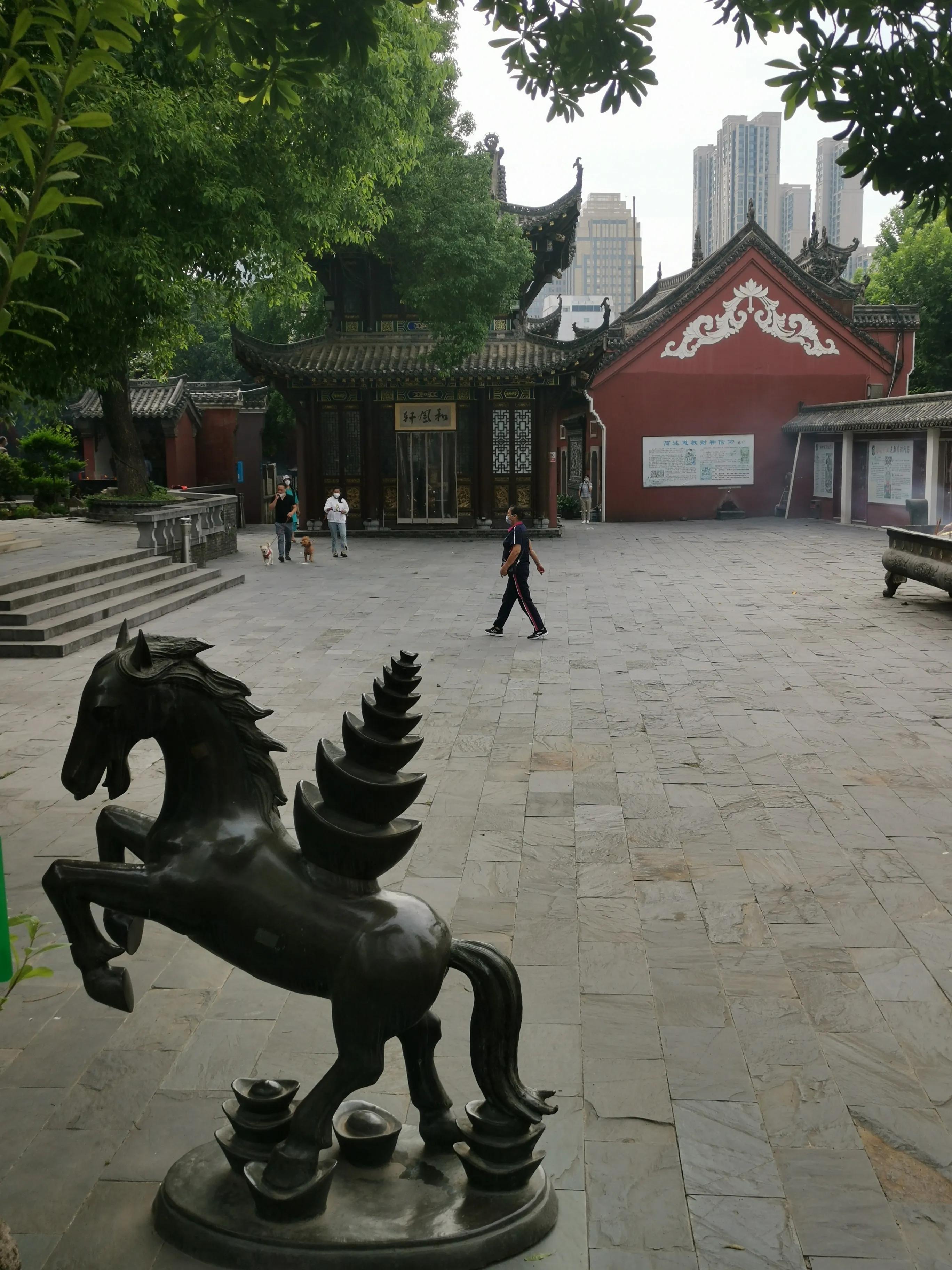 大隐隐于市-长春观