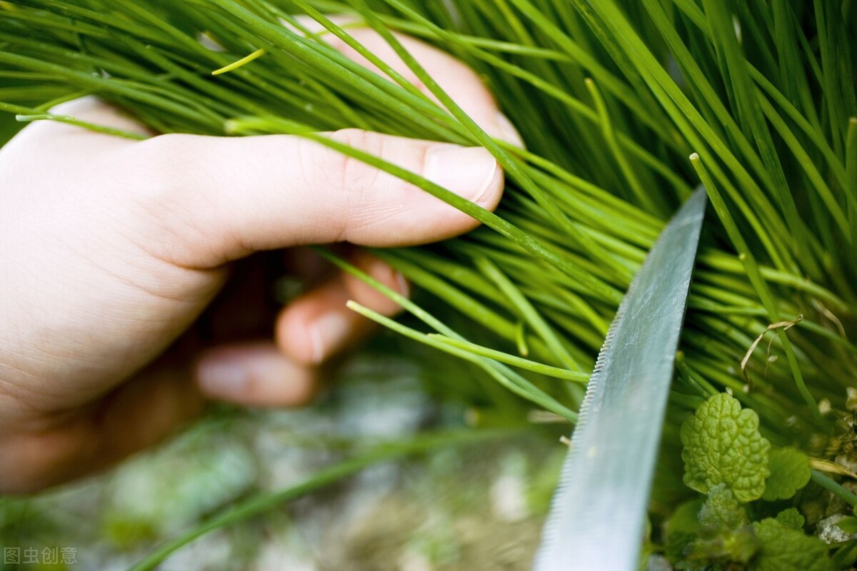 7200万一件普洱茶，是钱的味道？还是普洱茶的味道？