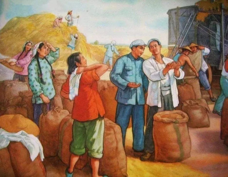 总书记为何倡导农民合作社？——中国农民专业合作社面面观