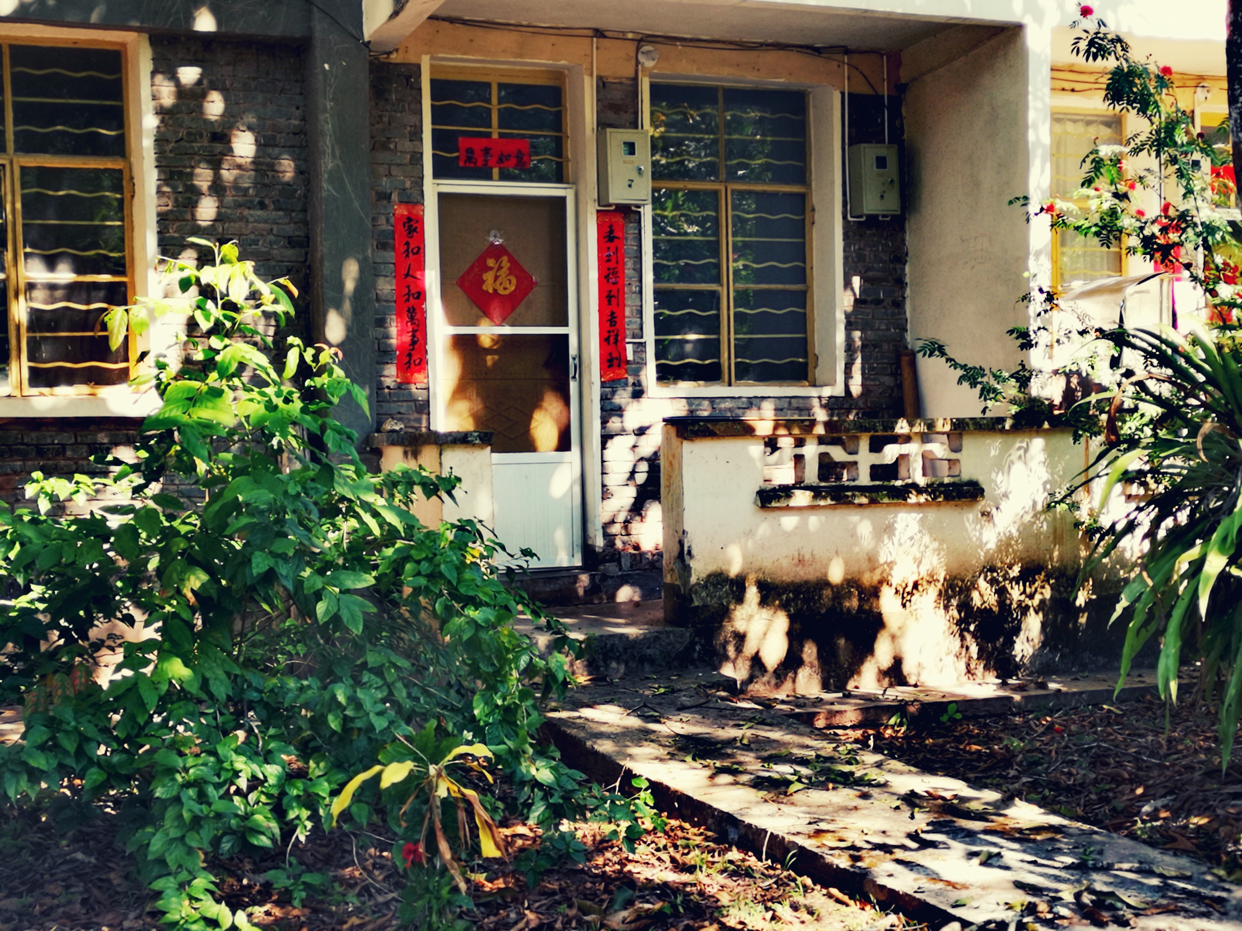 西双版纳8天9晚2600元，中科院热带植物园最详细攻略看这一篇就够