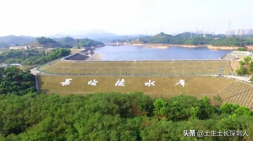 当深圳地名遇到生僻字