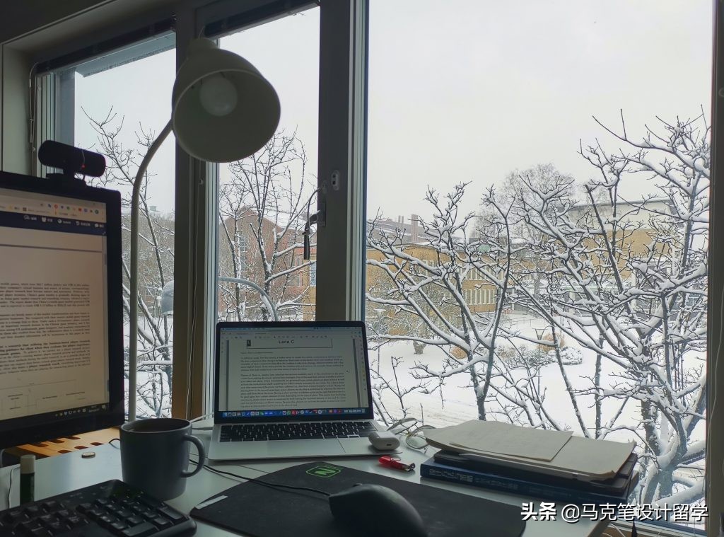 大厂实习，沉迷毕设，学长的留学瑞典真实生活分享